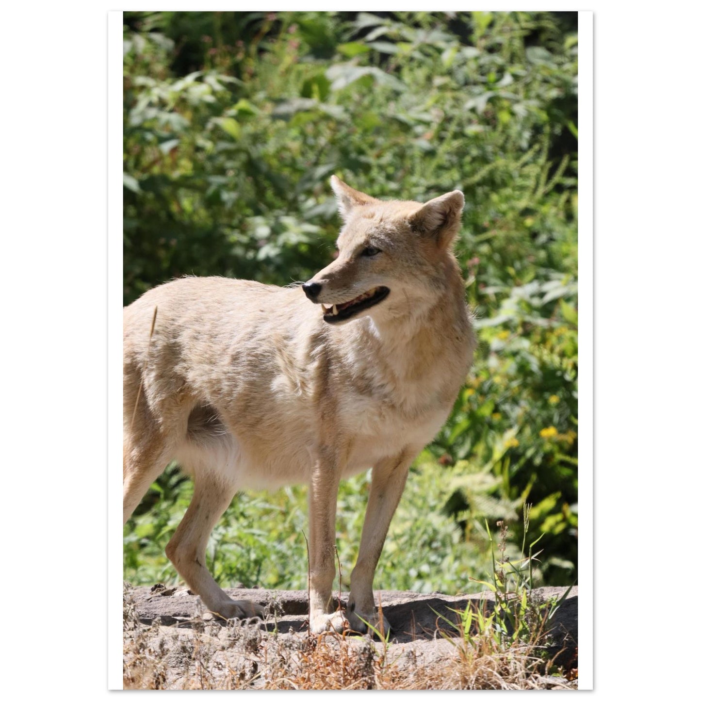 b696e40a-0753-4482-aaca-867ced80066d