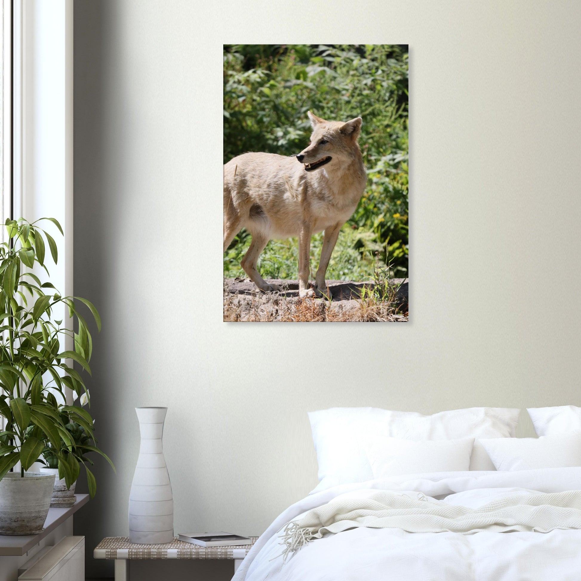 b764e660-62fb-4c8a-837d-1f53821a6026