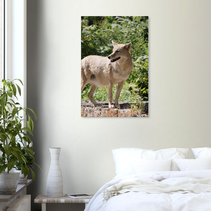 b764e660-62fb-4c8a-837d-1f53821a6026