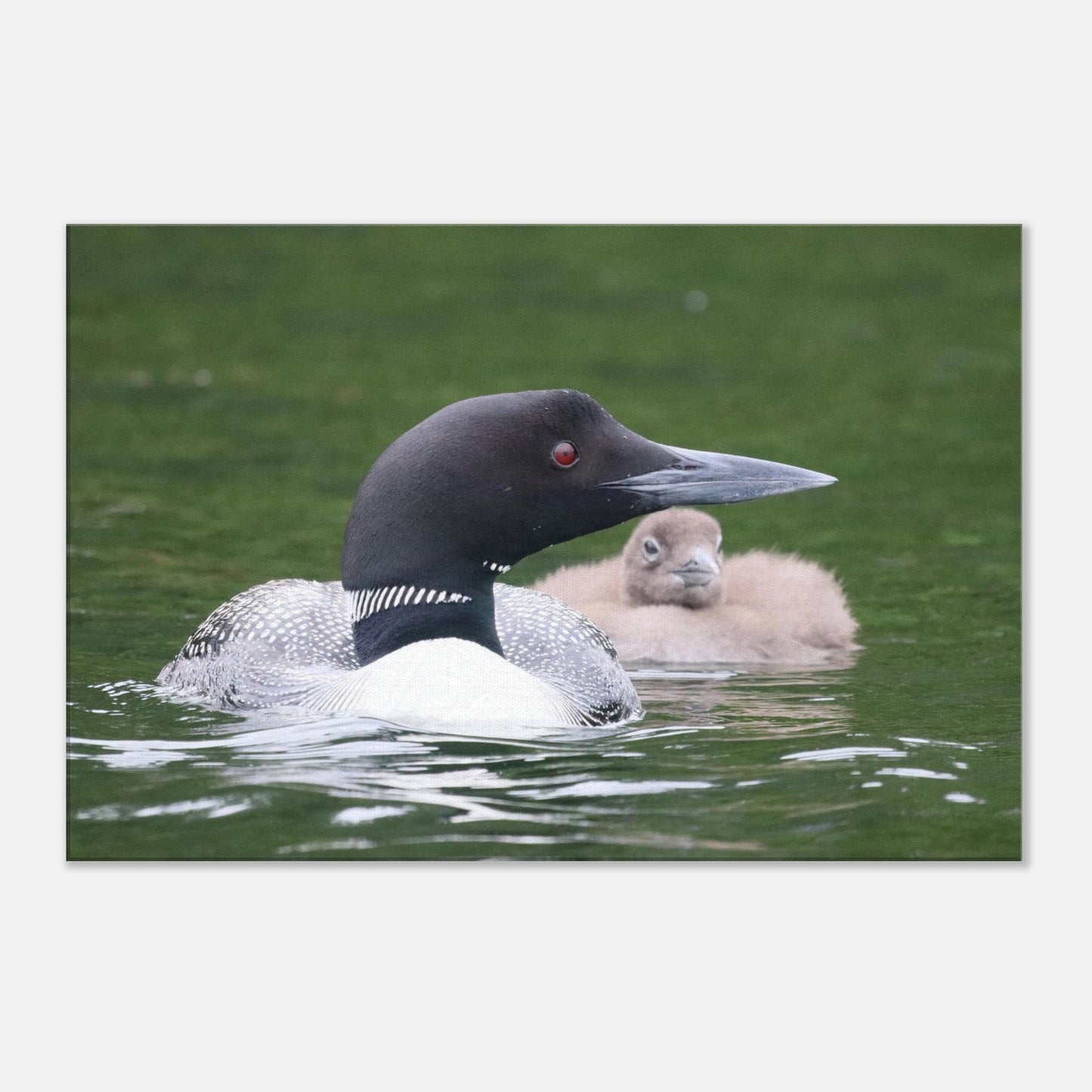 b78cd069-24fe-40af-bcf3-e411e654ea28