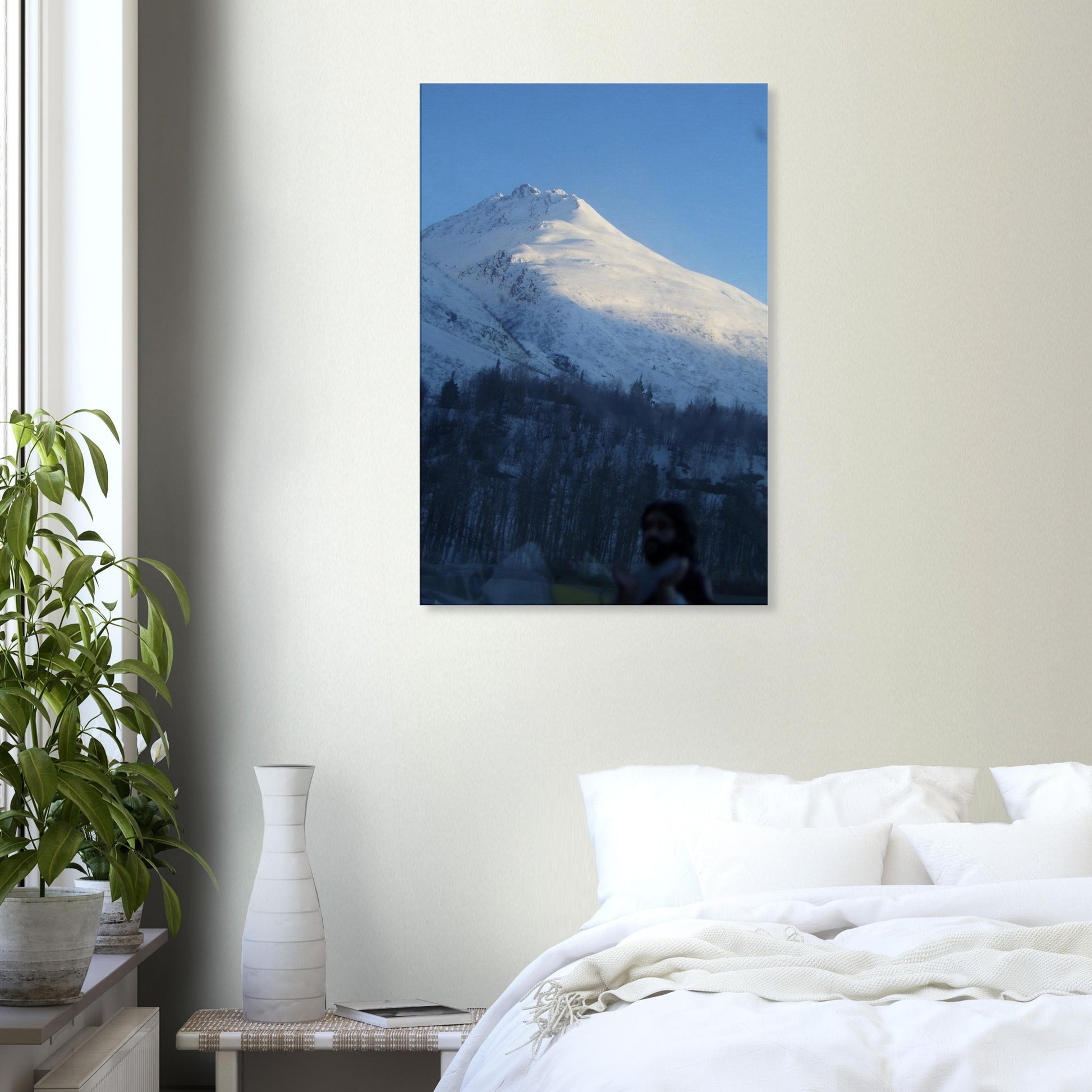 b7b51762-a662-4ba5-a492-1cd675bbb7e0