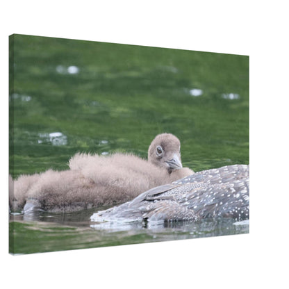 b7b86f39-00eb-4b22-b5f4-998d904103ec