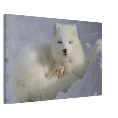 b8145059-ffd4-48dc-a33b-514ddacef6a6