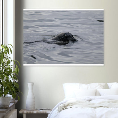 b9146db3-86ea-4dbe-ab09-faca094e9d71