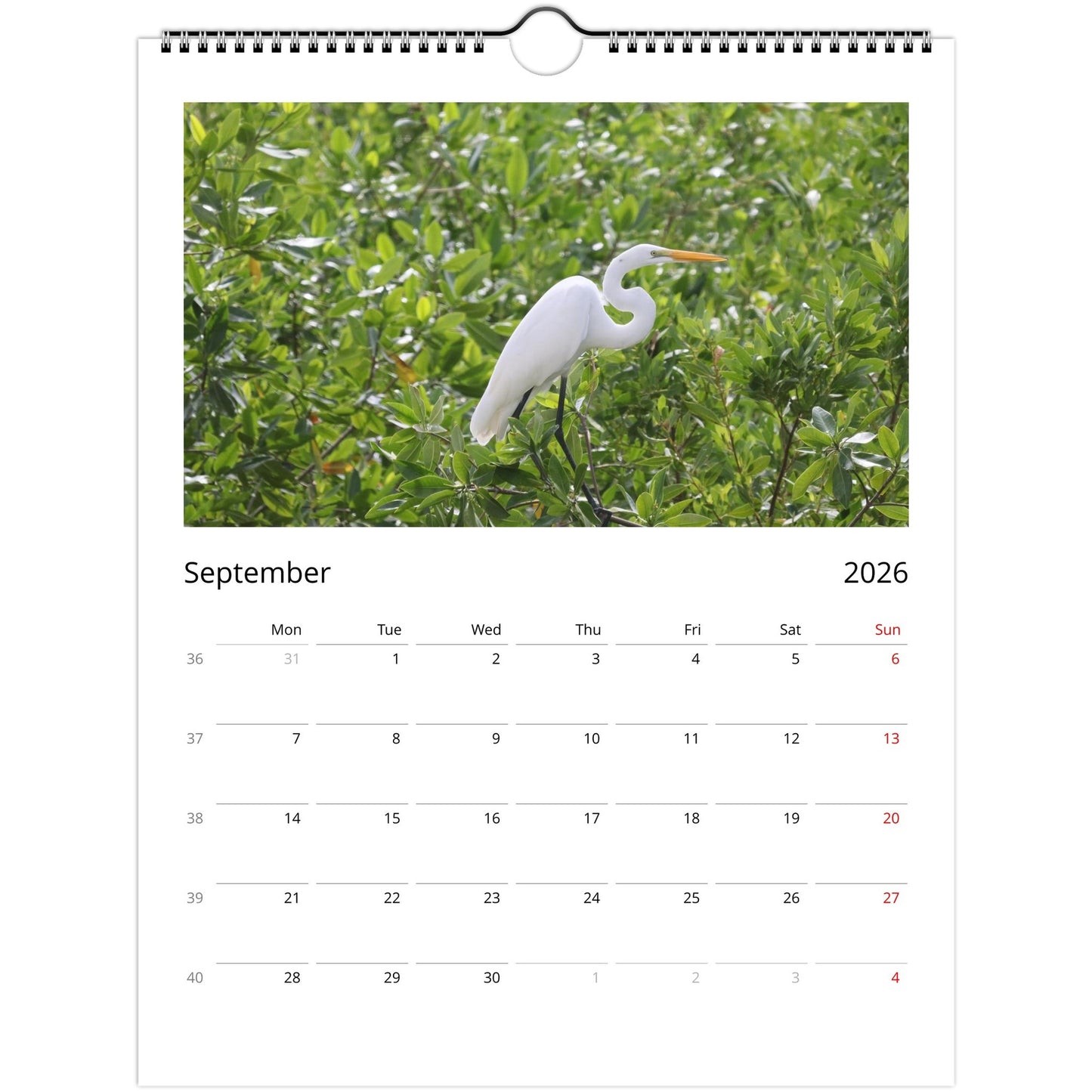 b91d7826-0a13-414e-8d90-0b847da068d2