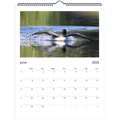 b9489c87-90e1-4aee-90d8-500a14569ee2