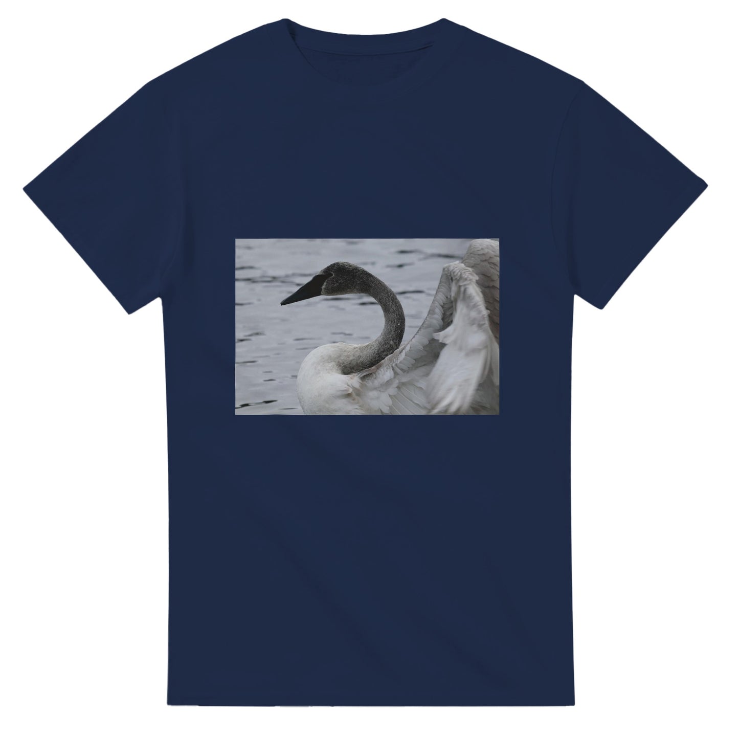 b9b990d9-c9e0-42e7-b063-b9d08a8e596d