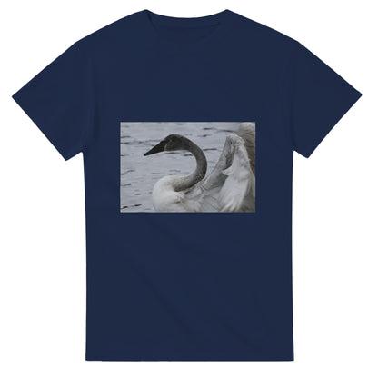 b9b990d9-c9e0-42e7-b063-b9d08a8e596d