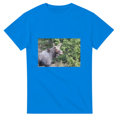 b9eedec9-85f8-4fa3-a69b-13b32998bf92