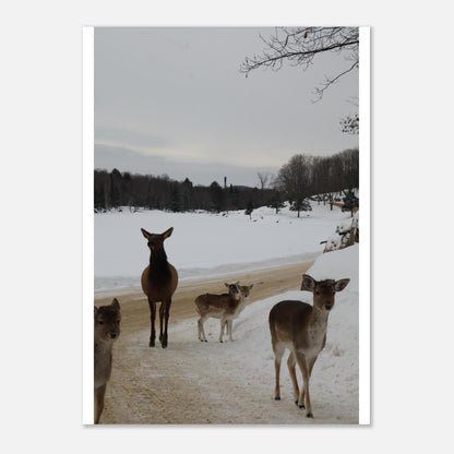 bab3824b-248e-4394-8757-e60d2f8deb9e