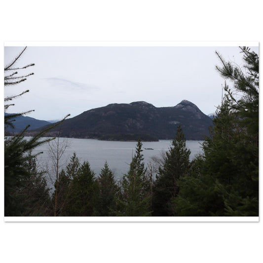 bb95714e-bfb3-499f-a180-8b157aa011f2