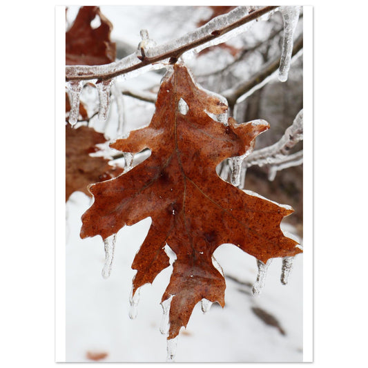 bb98c692-4f18-4d74-9970-1e3f66462639