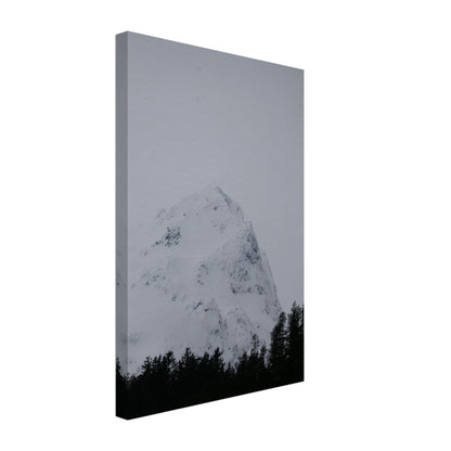 bc08046e-ff36-4cd8-818d-45ad029a6e4c