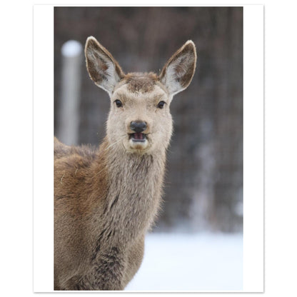 bc11b93a-47c8-41f8-840b-52d958be487e