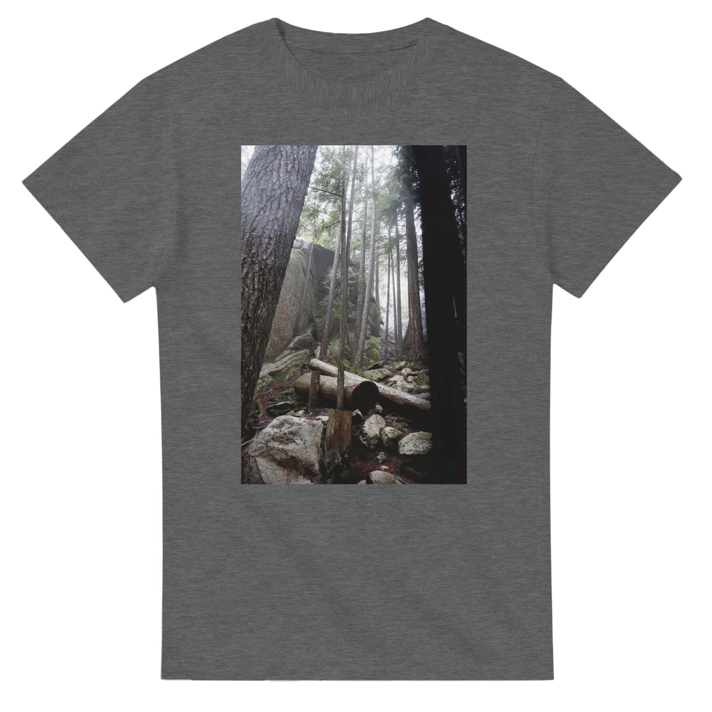 bd007339-2d87-46ee-9e9c-01b71fa2de3a