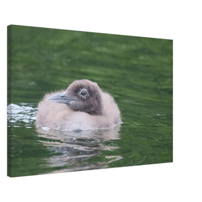 bda4d993-ee44-40b2-a835-cf34f1dcaec3