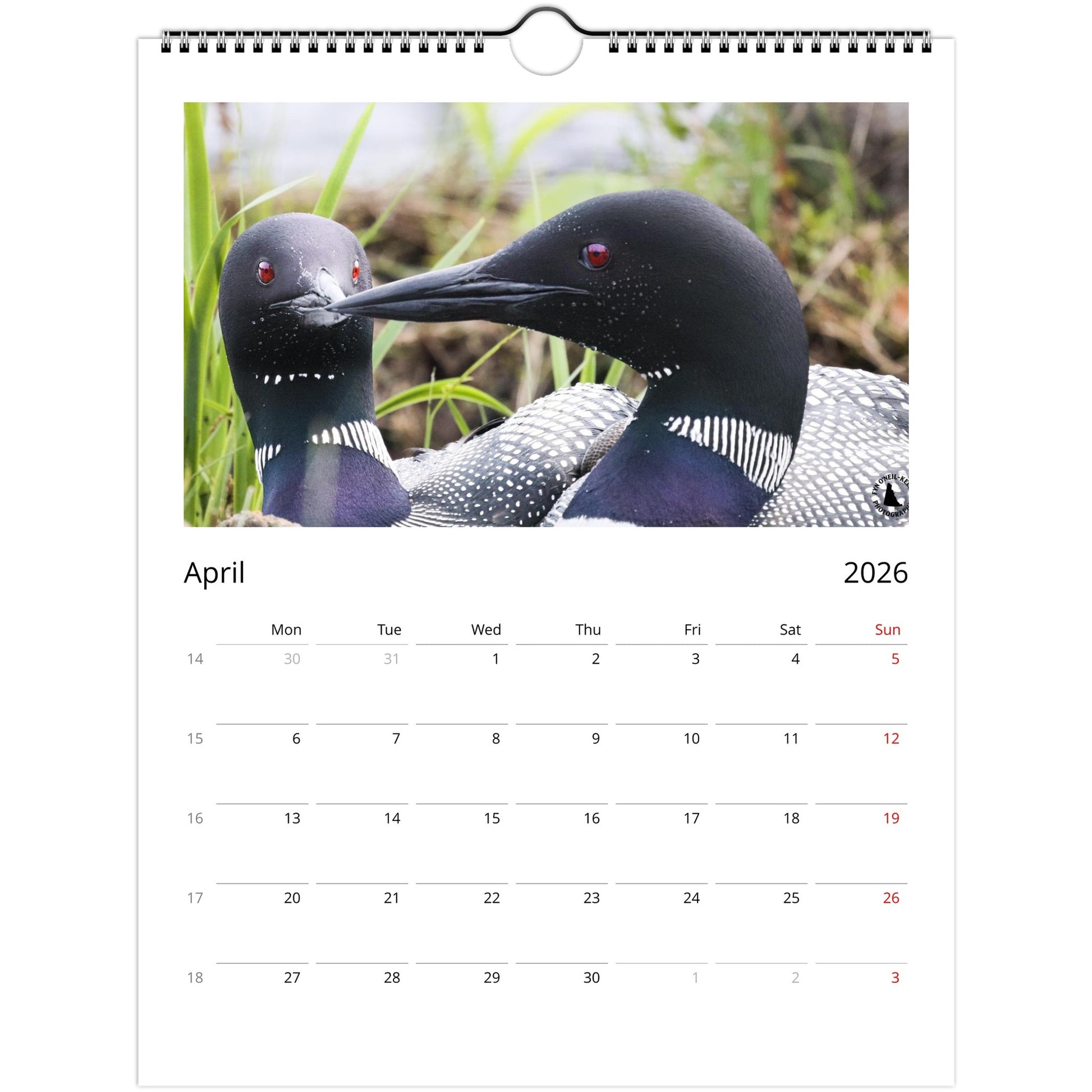 bdb00113-ff9d-4204-8ec9-72cc12b3c6c5