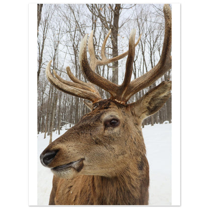 bdea0dfb-400c-4df8-9178-1c2b915f9716