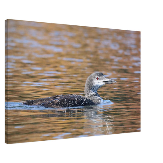 be232664-9dff-4bdf-b38d-489a7a7b129a