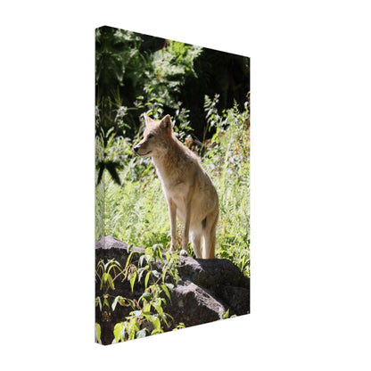 be4e8e8b-9f6e-4559-a6ee-fa63a263dbcf