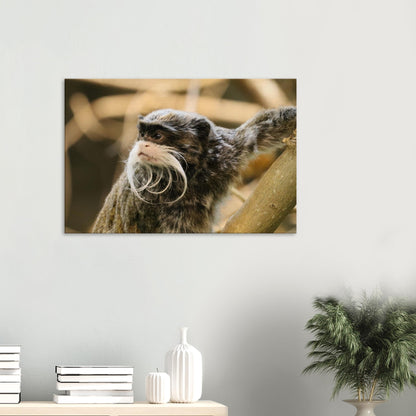 be7b54be-0535-4e37-ac1e-14c5a405428f