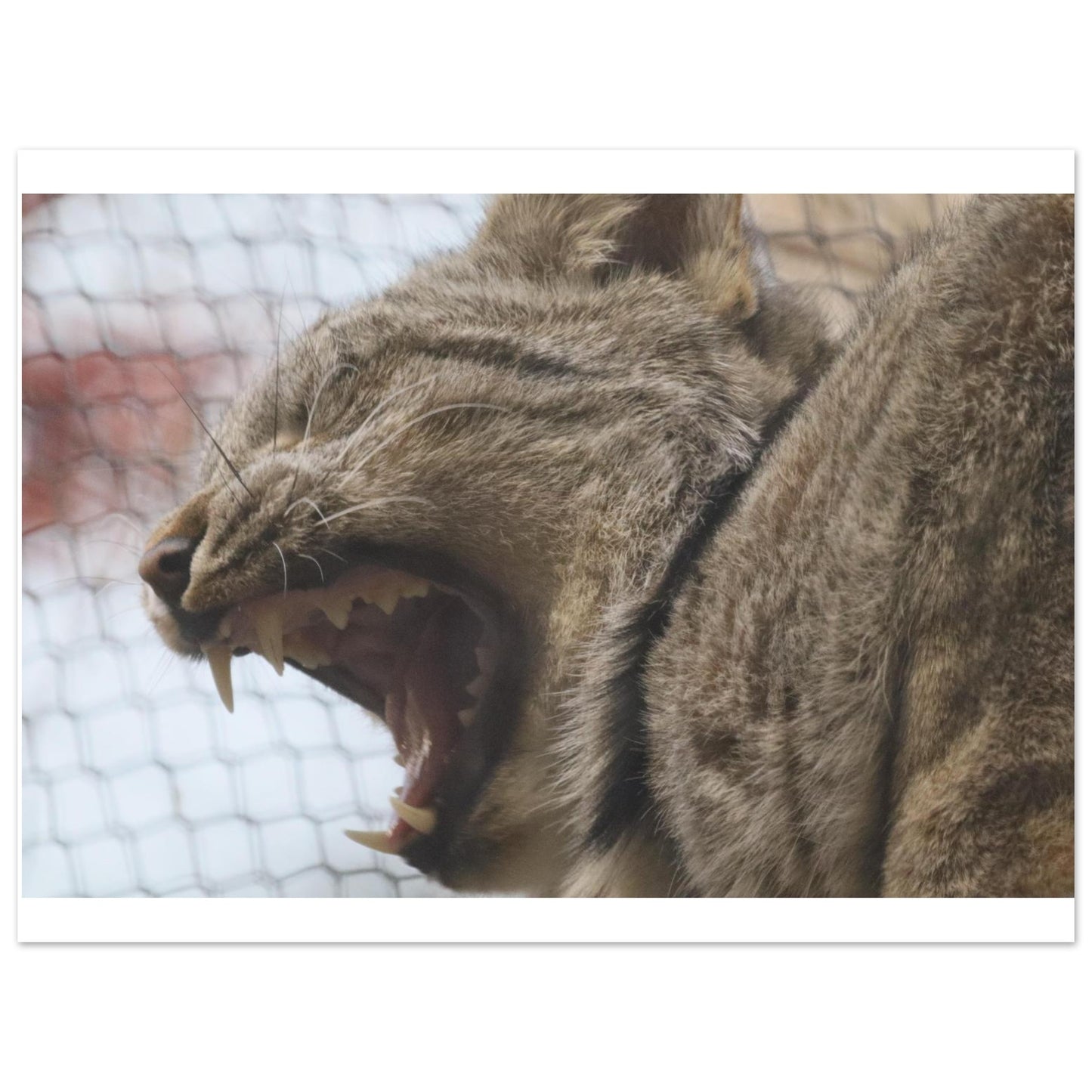 be9c2d16-5d47-405c-9124-943e002885f8