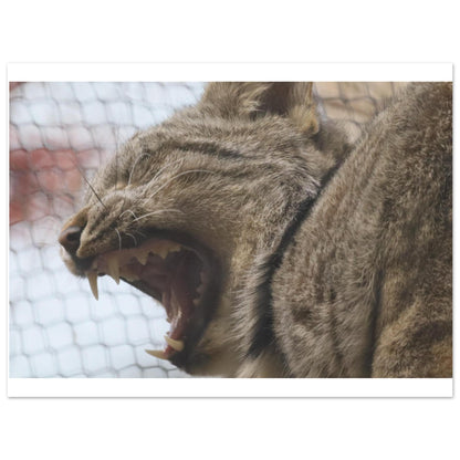 be9c2d16-5d47-405c-9124-943e002885f8