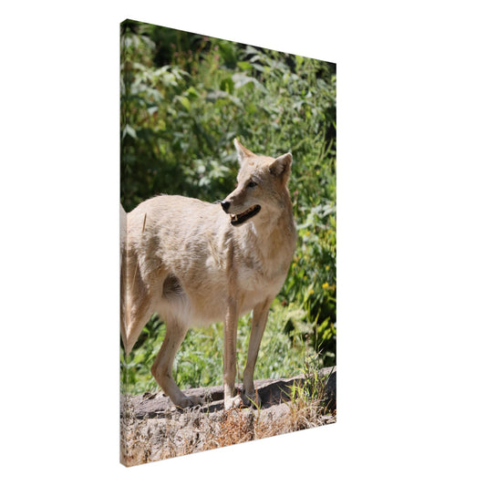 bebbc780-9043-4793-8920-1adab5d8292f