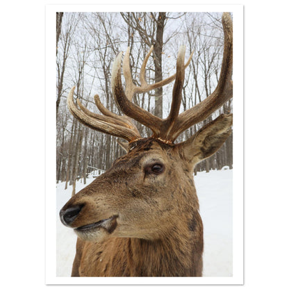 bf5c328e-a250-403b-a1c8-17bb7d486b96