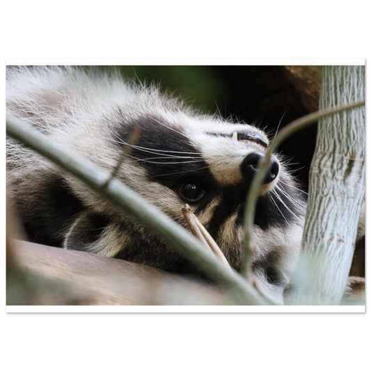 c02509a7-4f8a-4468-bd37-2e3c985e4765