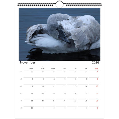 c03629cb-ae89-4f8a-81f6-b1378daf95a3