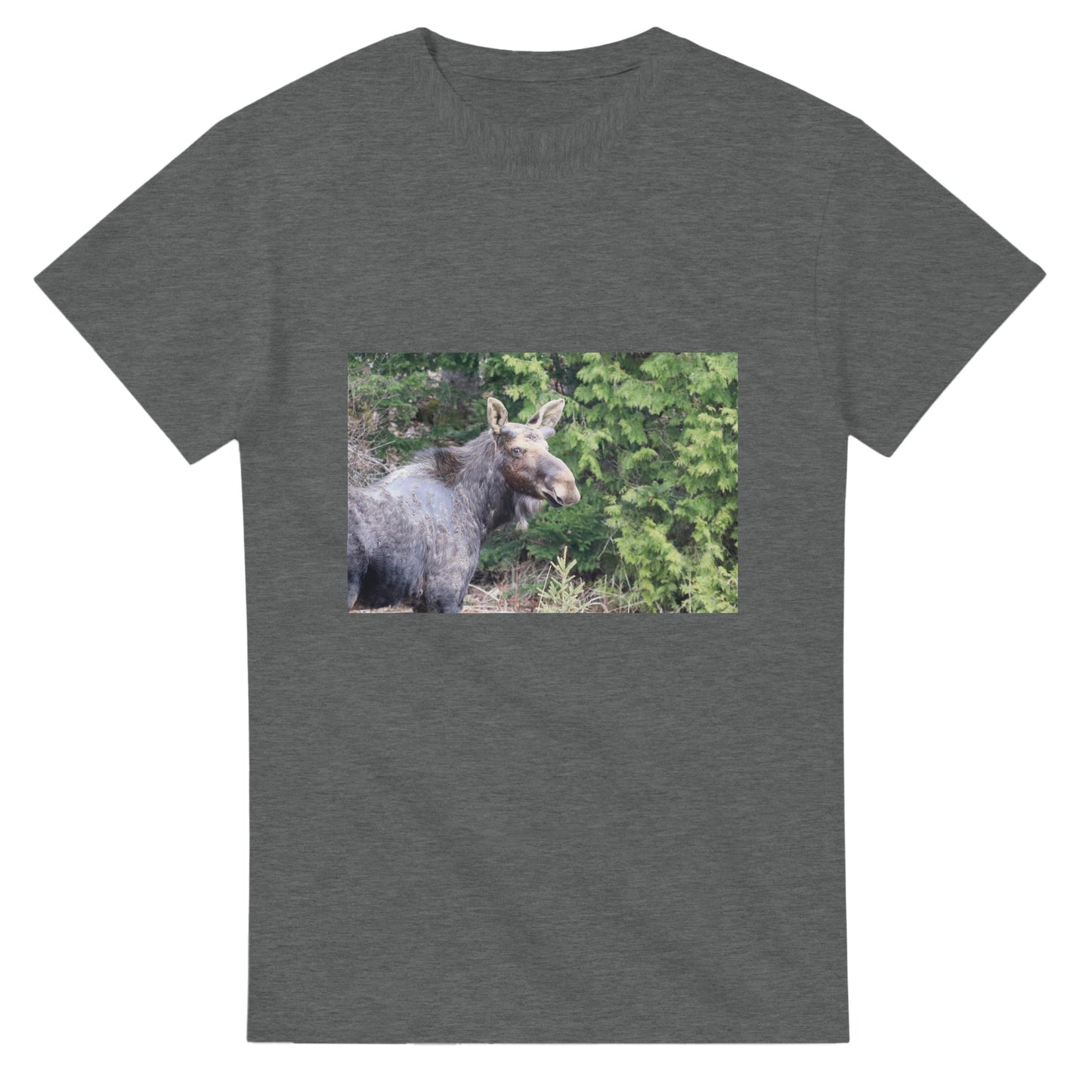 c0e71b23-816f-4a74-951a-5fe9db0b253f