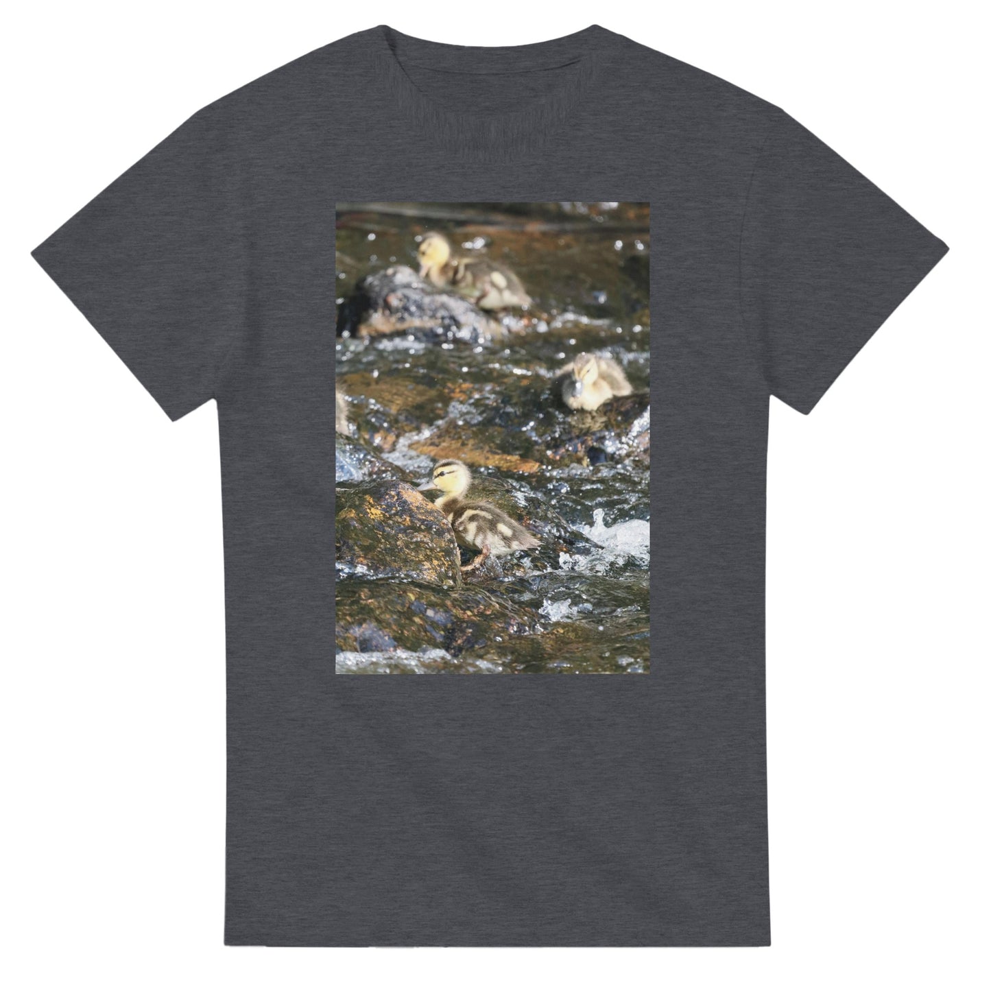 c133c086-1023-4f0d-adbc-c0d7a138997b