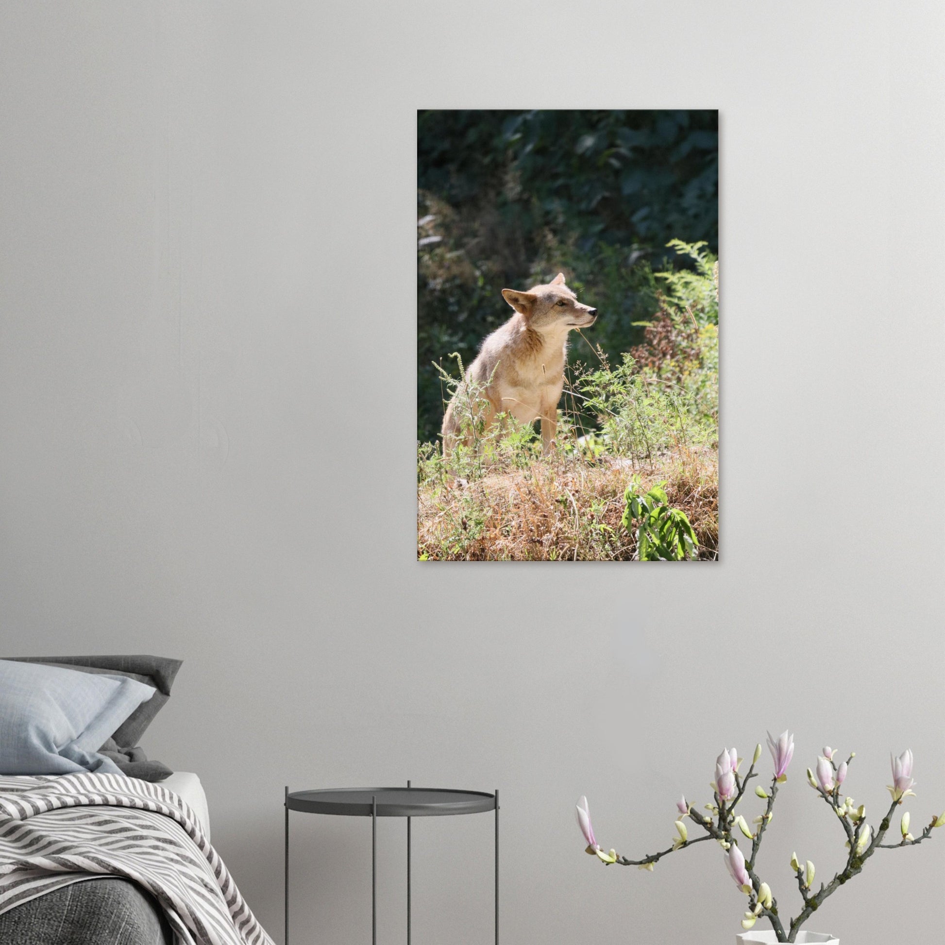 c1744e05-e85f-45ae-ad4b-ef7857f9a289