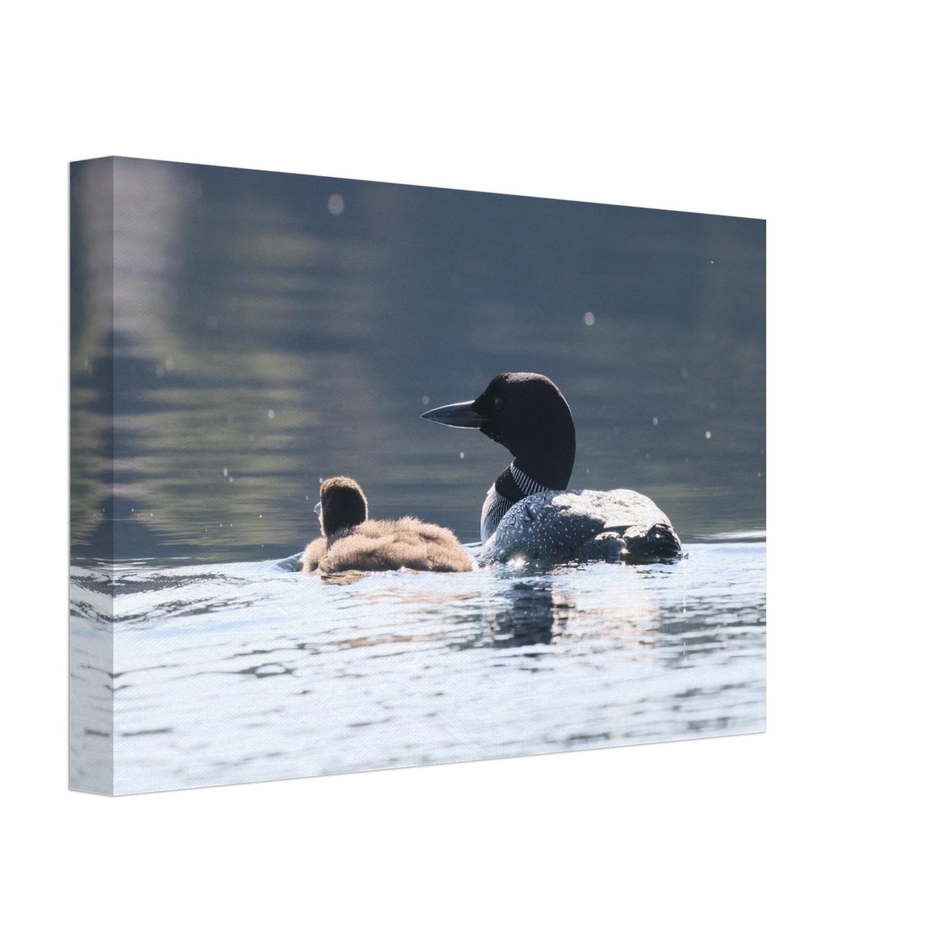 c1f00110-2032-442a-849b-abdb91cd616f