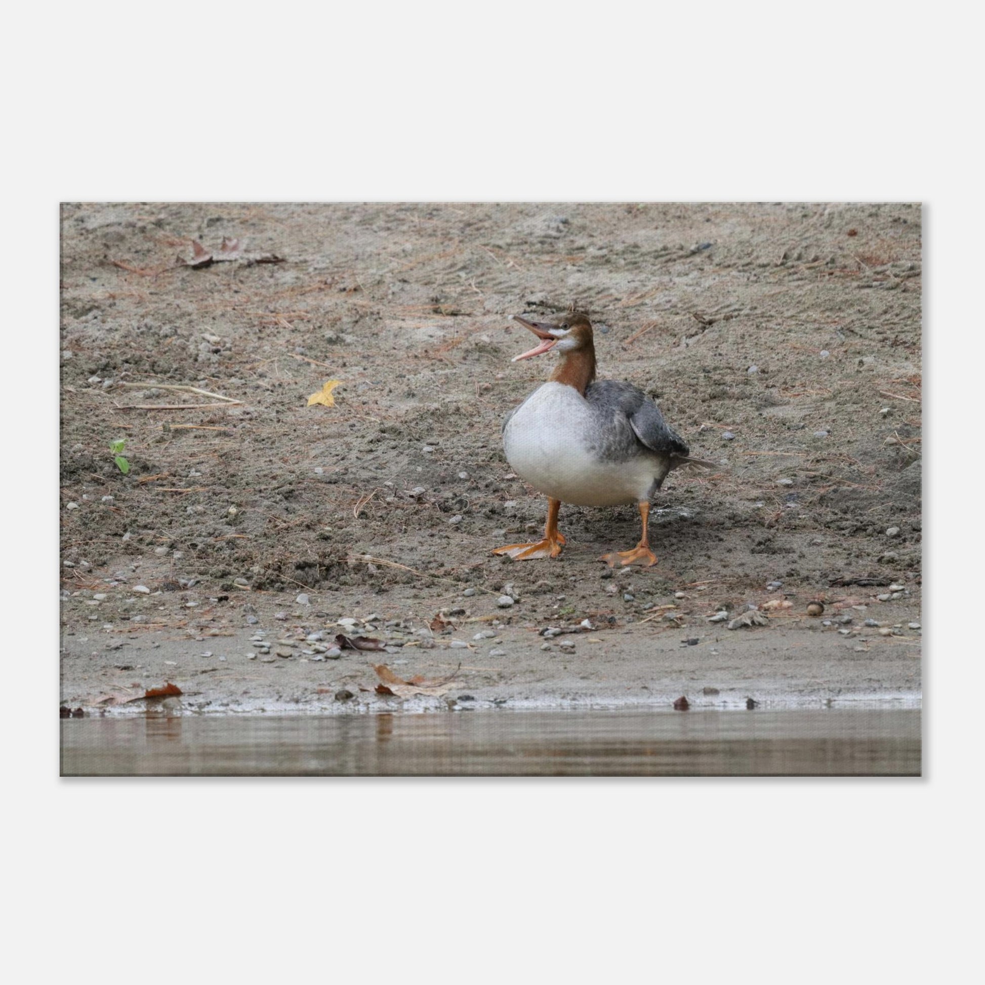 c2b9c482-5f1a-43f3-9a75-00bf3dbb688b