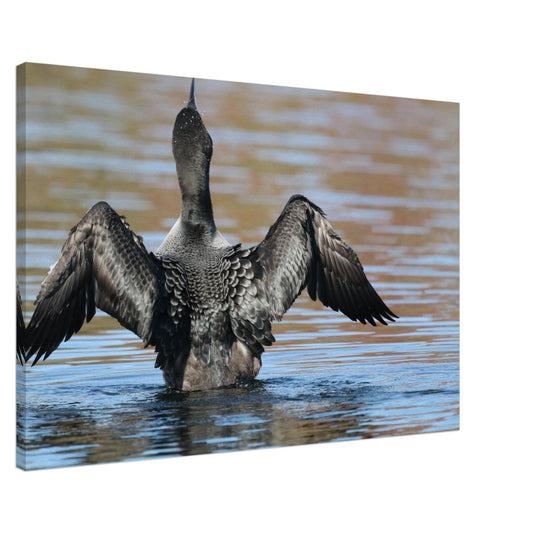 c2f51b45-d4e8-494e-877d-2a31db9f978e