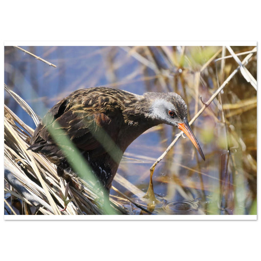 c34aeee5-1c42-41f9-bb8d-d7ef1c45963d