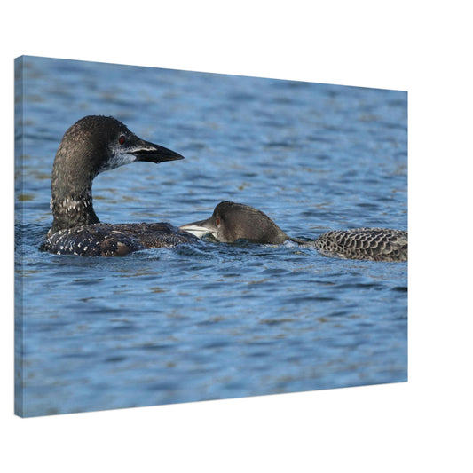 c40acd77-5640-4fef-9a95-0518fde5fd09