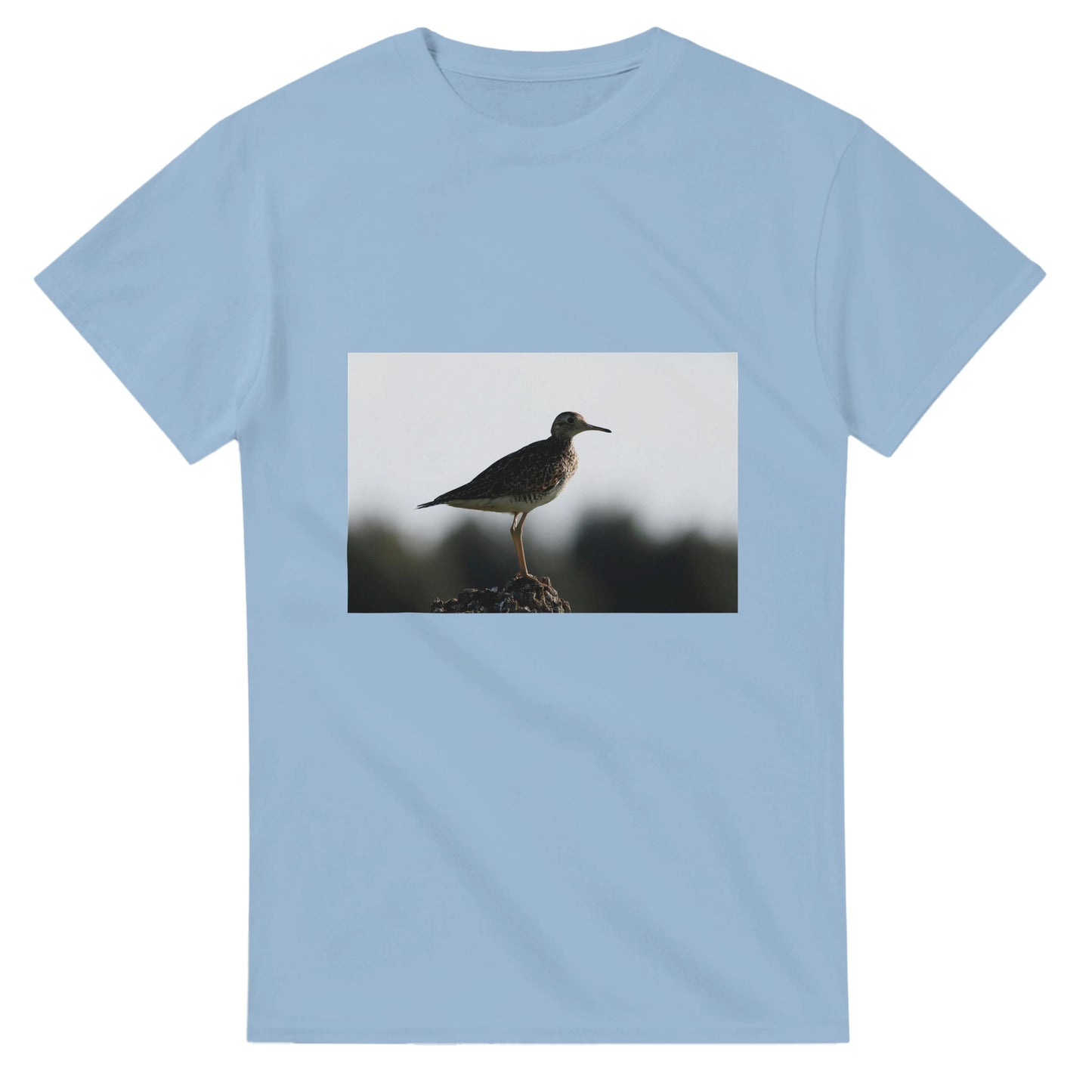 c430375d-c28a-474e-8bd6-9dff91200fbc