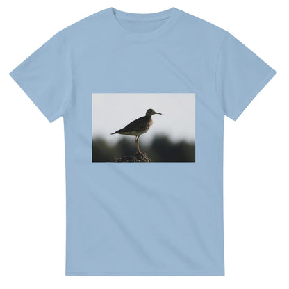 c430375d-c28a-474e-8bd6-9dff91200fbc