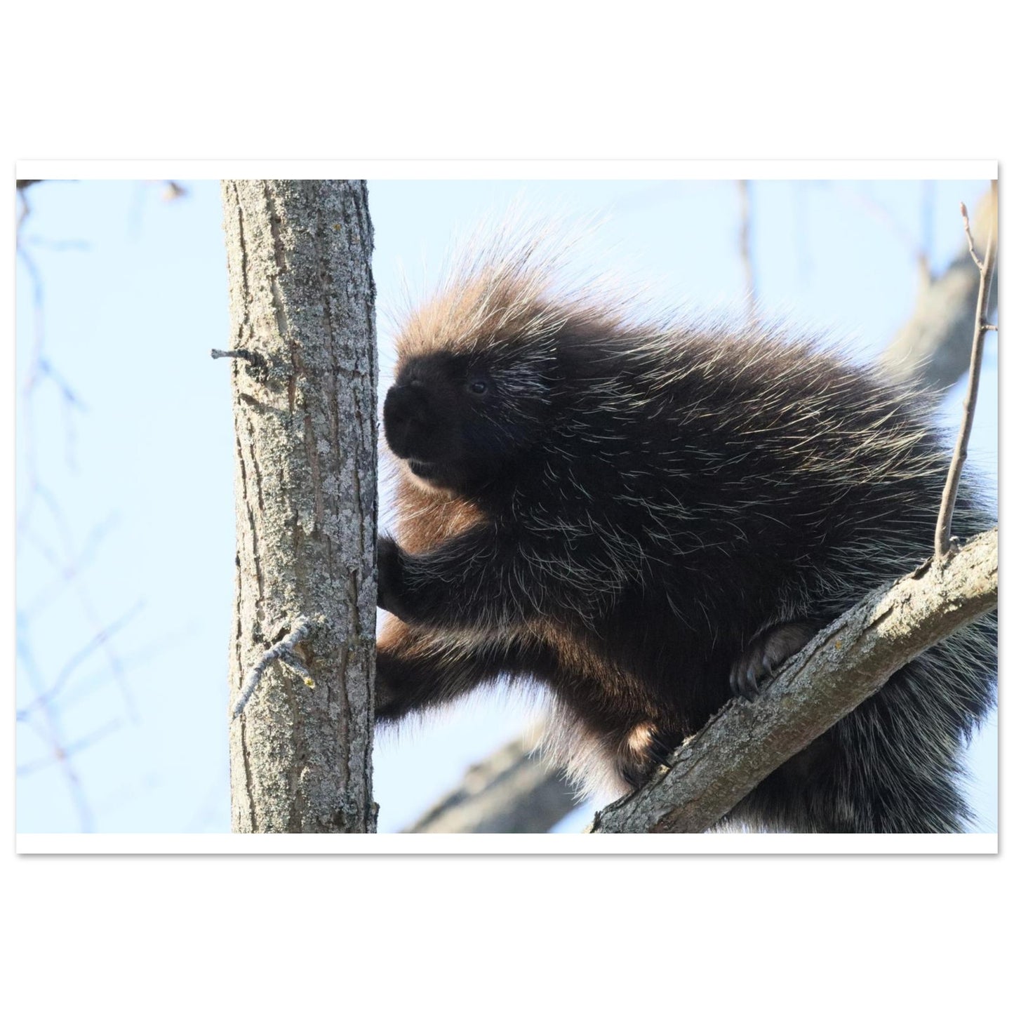 c4451cfe-333f-47e8-a74d-26d7c58da429