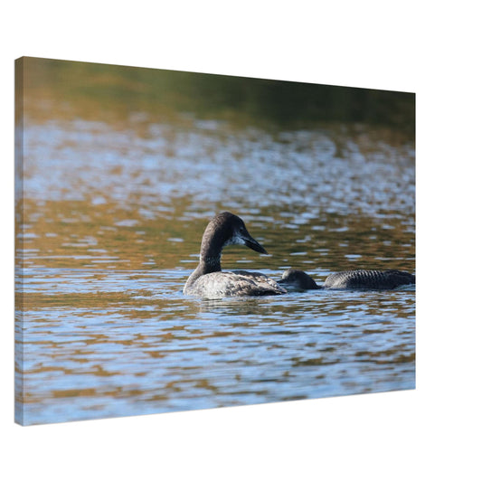 c4464e05-bfc8-45b3-b6ec-1012406a073e