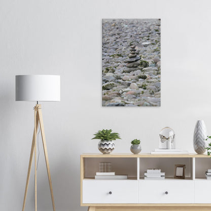 c565f202-6cfa-491b-bca2-6f992a41f779