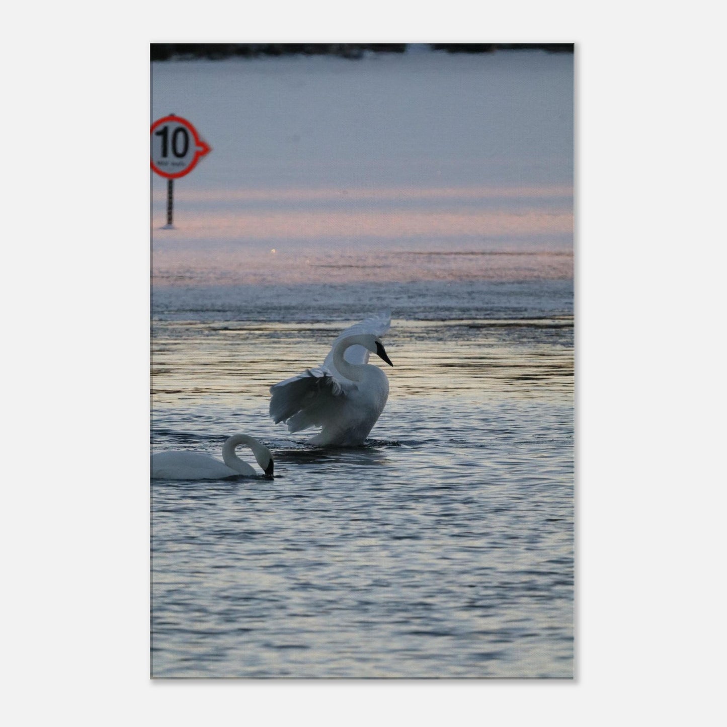 c6422dff-cf94-4c73-bd61-1683237152d6