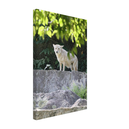 c6bc347b-0235-4ae7-9079-b078f38652ed