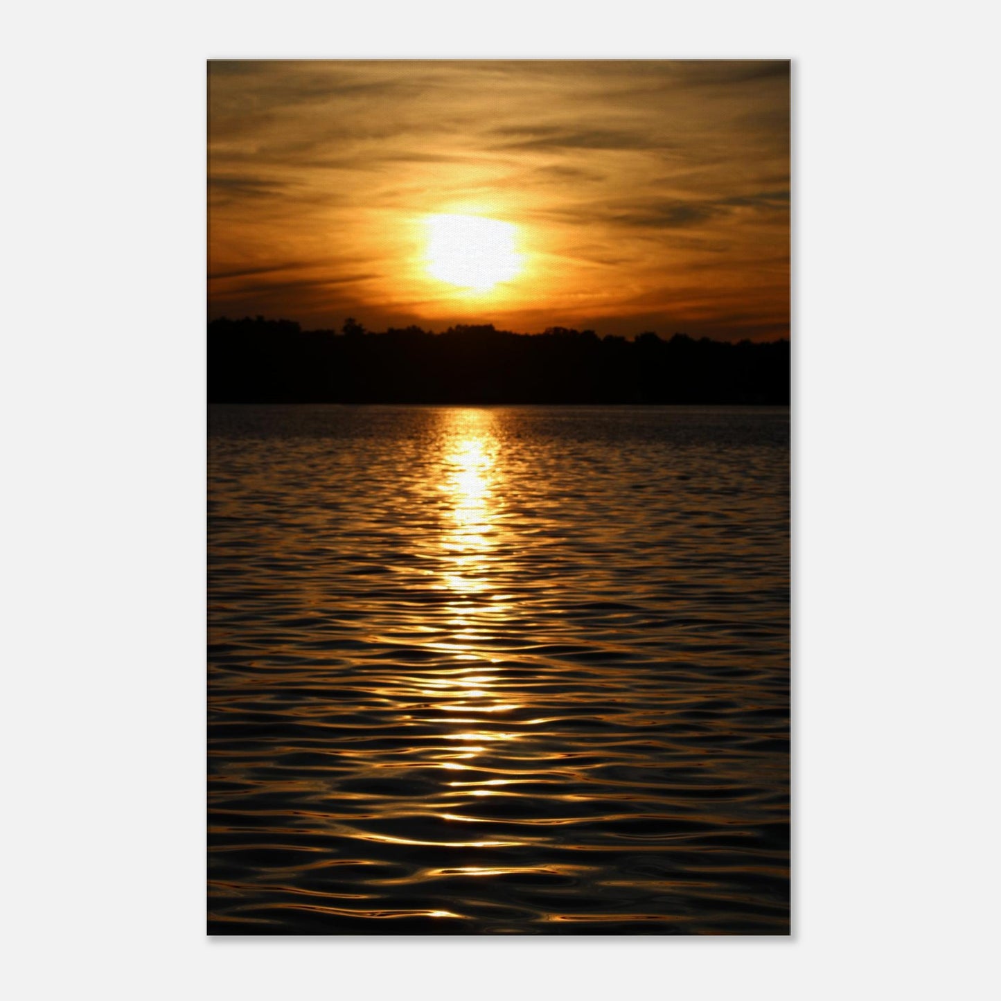 c6fefb53-1528-423f-b633-7a0a2e7dc7db