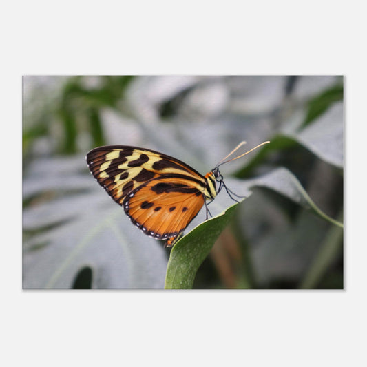 c76f9d93-e2d8-4e4c-97b2-99e7bb281e41