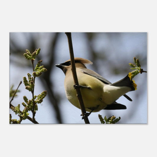 c77dc680-610f-403d-91c7-c95cb5d10c9f