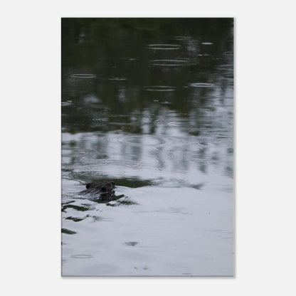 c7d02456-b973-4a6b-9ae5-28342584338b